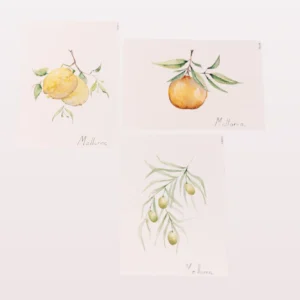 (Postales pintadas a mano / flora)